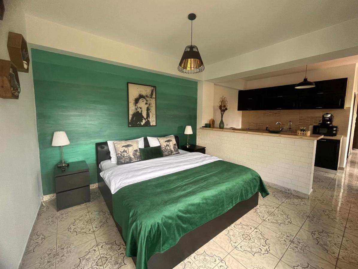 Natura City Center Studio Brasov Bagian luar foto