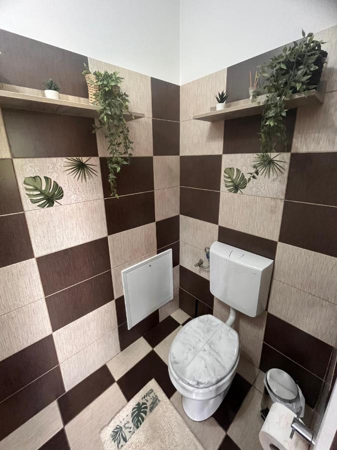 Natura City Center Studio Brasov Bagian luar foto